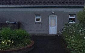Two Bed Room Apartment